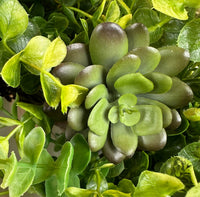 "Natural Beauty" Succulent Wreath