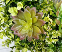 "Natural Beauty" Succulent Wreath