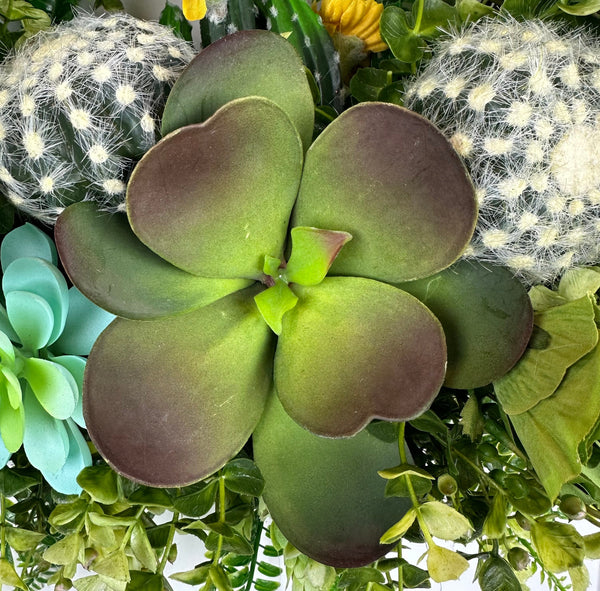 sensational succulents Succulent Sensation" Wreath – Deck The Halls 365