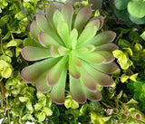 "Natural Beauty" Succulent Wreath